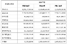 神农架神农架的要账公司在催收过程中的策略和技巧有哪些？