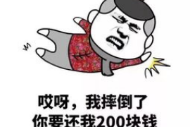 神农架如何避免债务纠纷？专业追讨公司教您应对之策